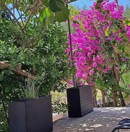 Lejlighed Apartman S Terasom I Vrtom